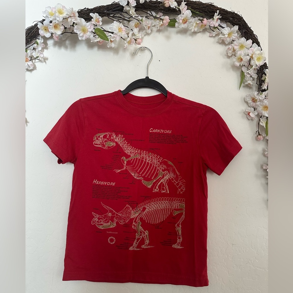 Crazy 8 Red Dinosaur Graphic Short Sleeve Tee